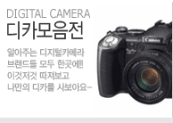 디카모음전